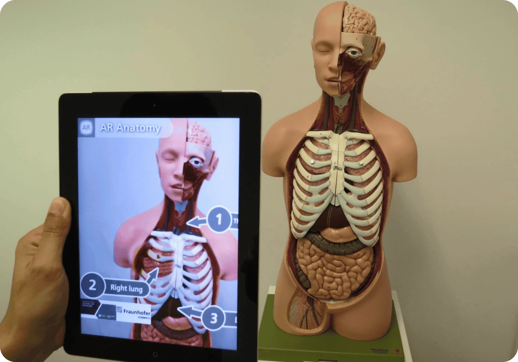 AR-stimulated healthcare & training