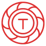 TON Token Development Icon