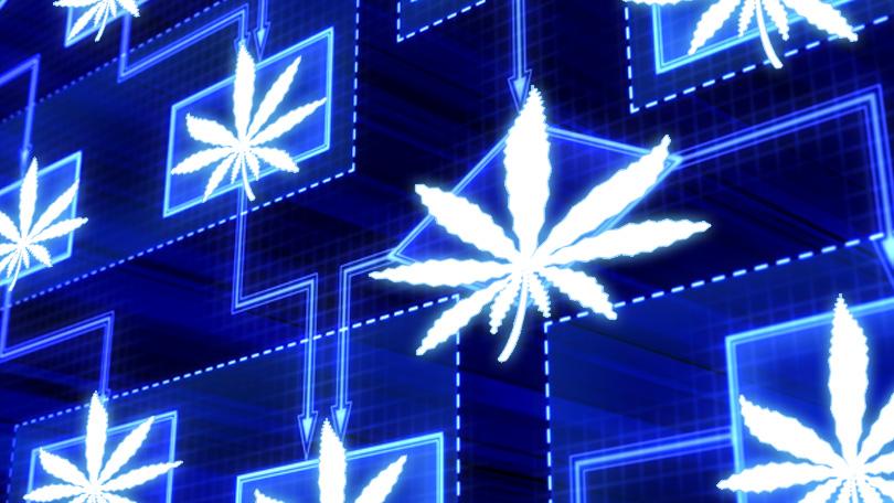 blockchain cannabis