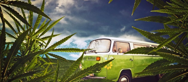 ondemand weed delivery mobile app