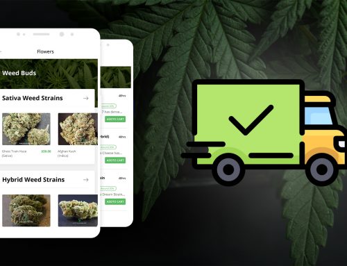 4 Ways Cannabis Delivery Management Software Solutions Increase Efficiency