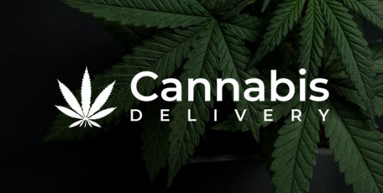 cannabis delivery