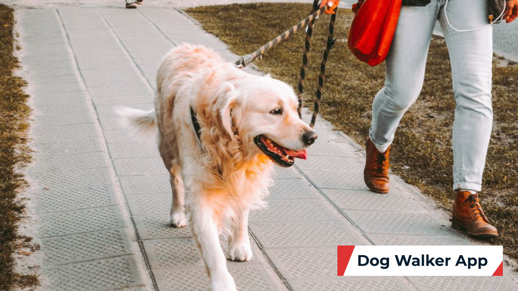 dog walker app