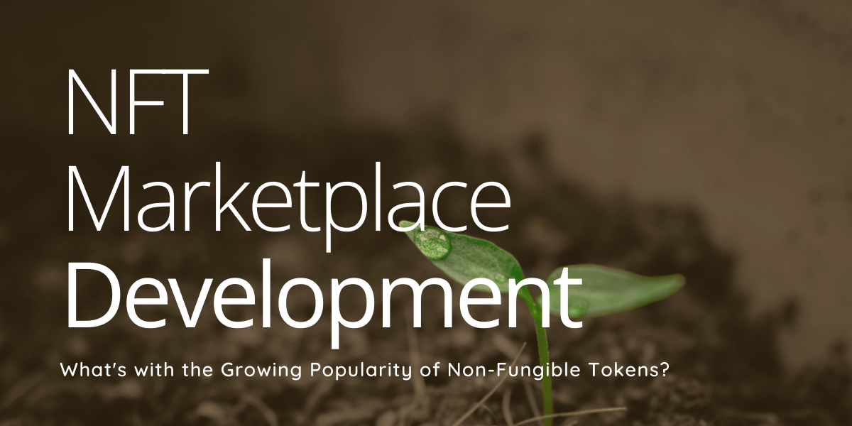 NFT-Marketplace-development