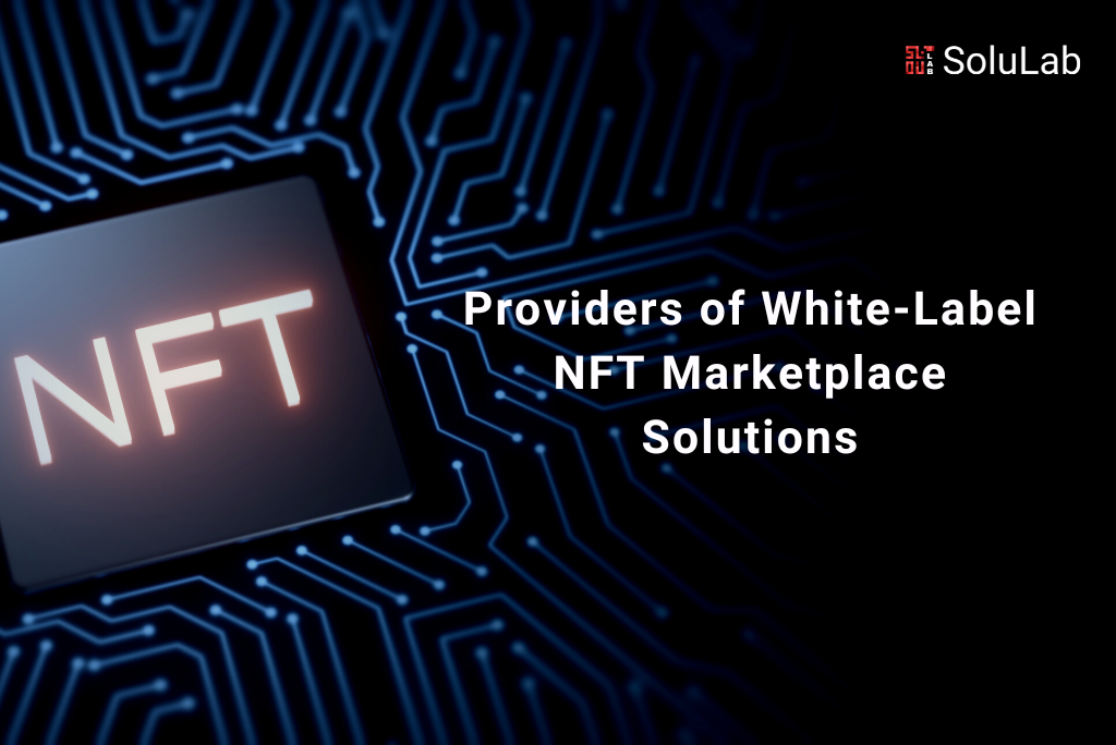 Providers of White-Label NFT Marketplace Solutions