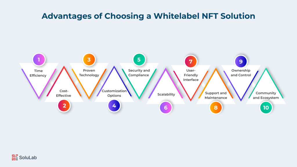 Why Choose a Whitelabel NFT Solution?
