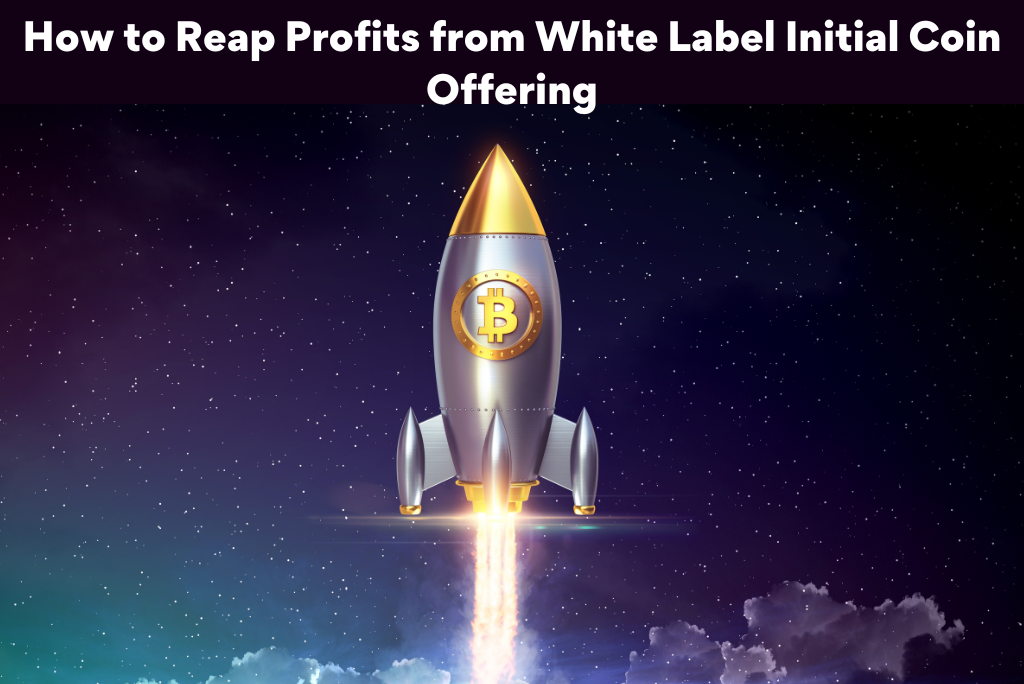 How to Reap Profits from White Label Initial Coin Offering