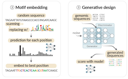 Designing DNA with AI, The Century of Biology