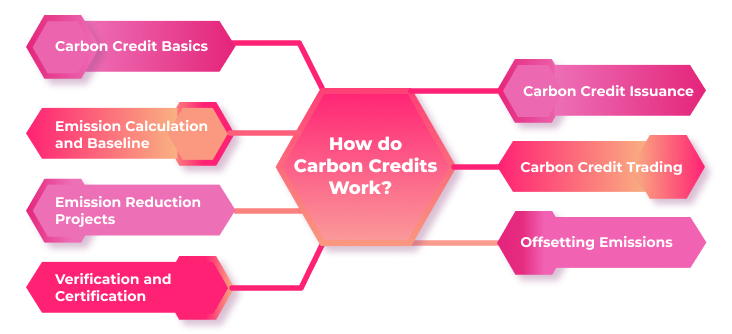 What are the Benefits of Carbon Credit Marketplaces? 