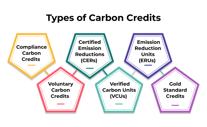 What are the Different Types of Carbon Credits?