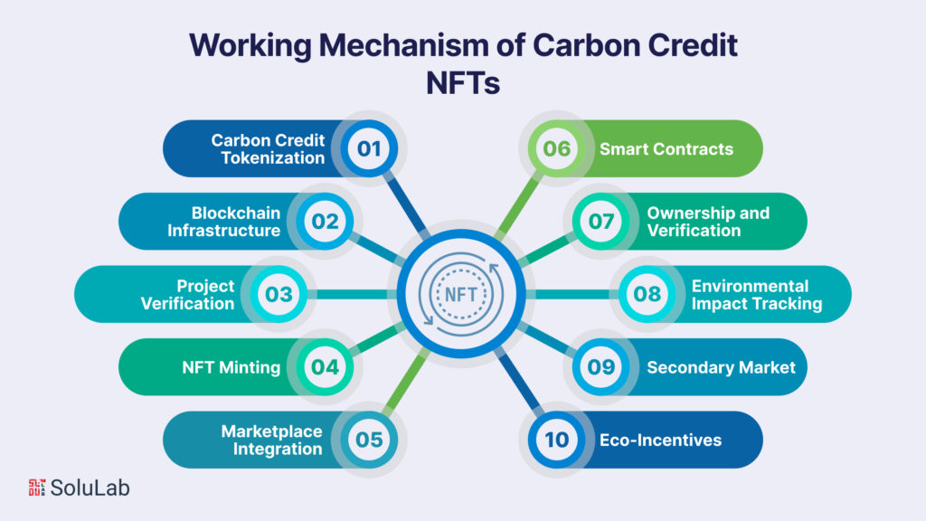 Understanding the Operational Framework of Carbon Credit NFTs