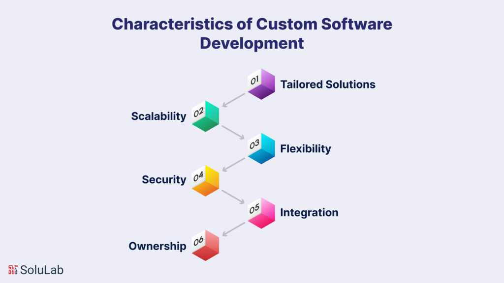 Characteristics of Custom Software Development