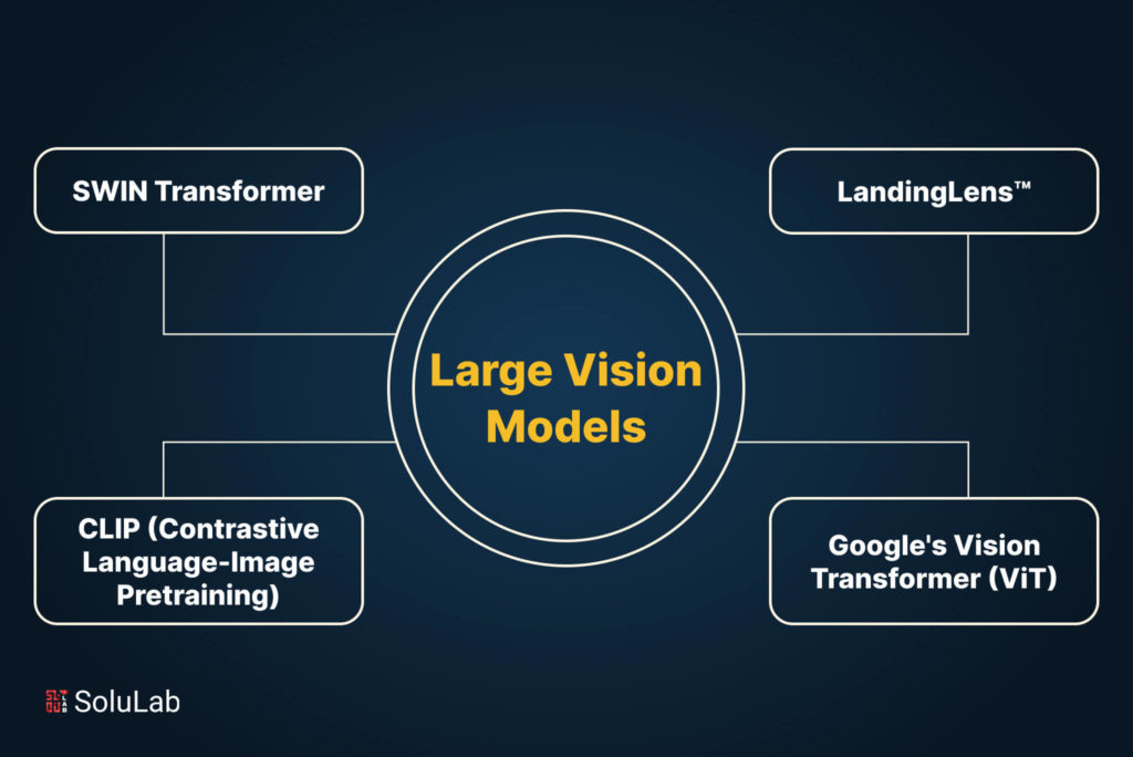 Large Vision Models