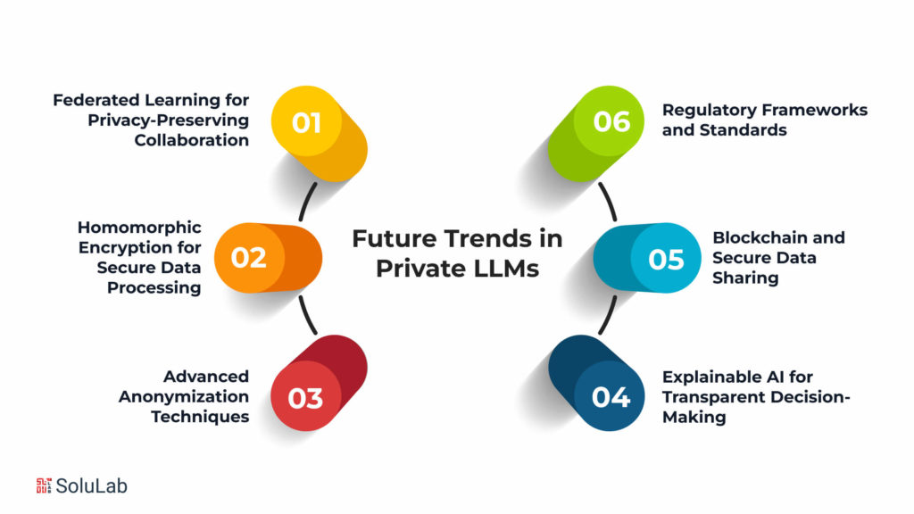 Future Trends in Private LLMs