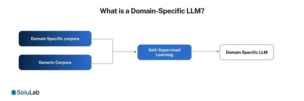 Domain-Specific LLM