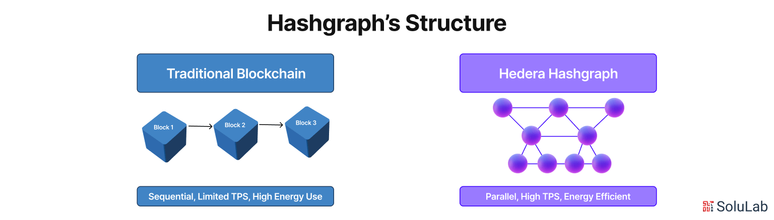 Hashgraph’s Structure