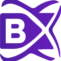 BlockchainX