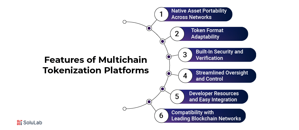 Multichain Tokenization Platforms Features