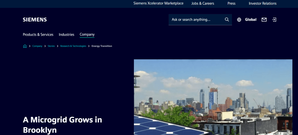Brooklyn Microgrid