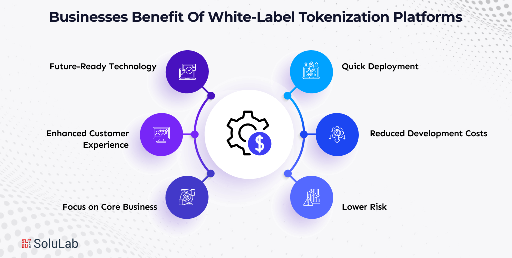 Businesses Benefit Of White-Label Tokenization Platforms