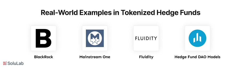 Real-World Examples in Tokenized Hedge Funds