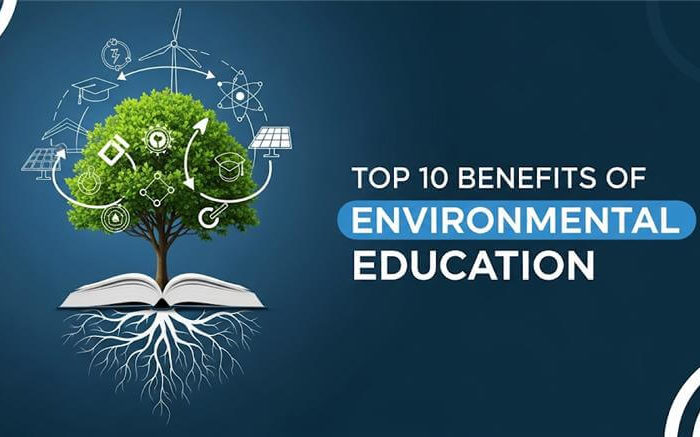 Top Benefits of Environmental Education