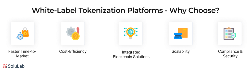 Why Choose White-Label Tokenization Platforms