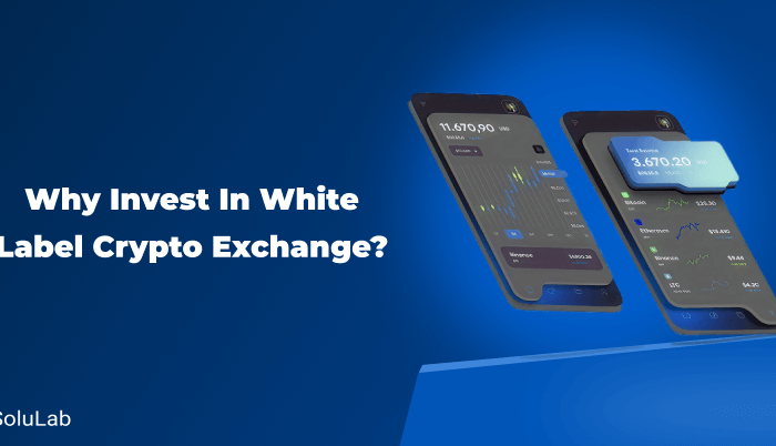 Why Invest in White Label Crypto Exchanges
