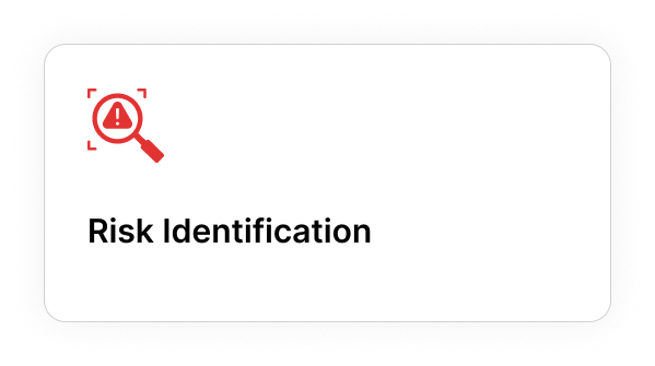 Risk Identification