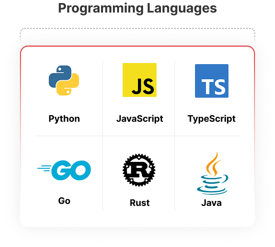 Programming Language