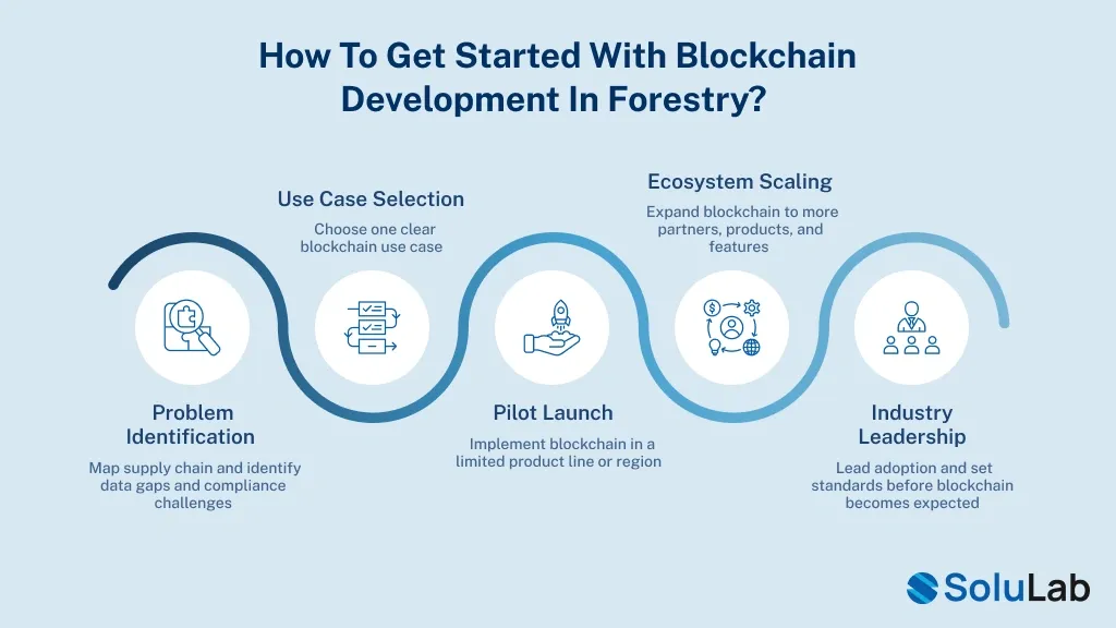 Blockchain Development in Forestry