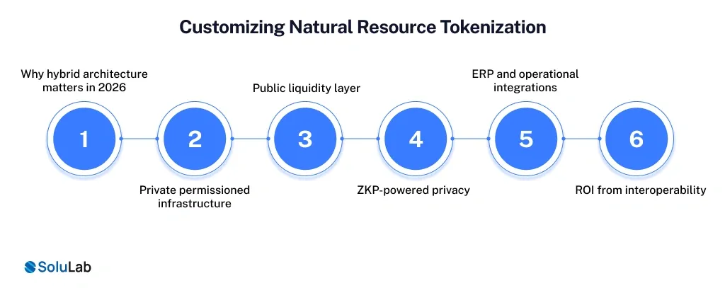 Customizing Natural Resource Tokenization