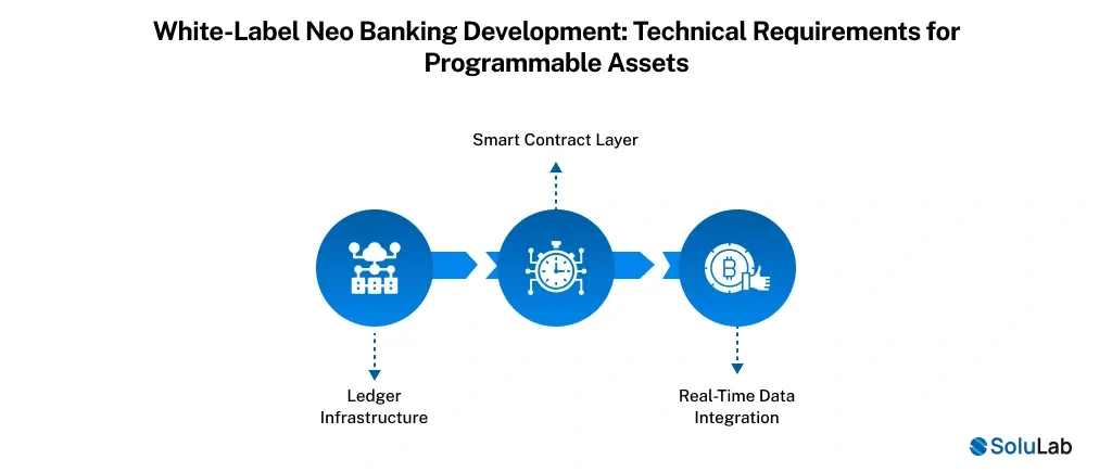 White-Label Neo Banking Development Technical Requirements for Programmable Assets