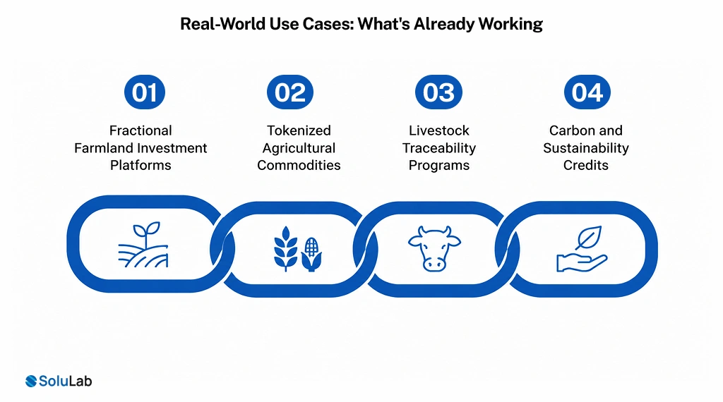 Real-World Use Cases