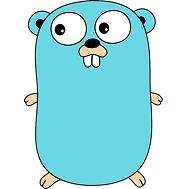 Golang Chaincode
