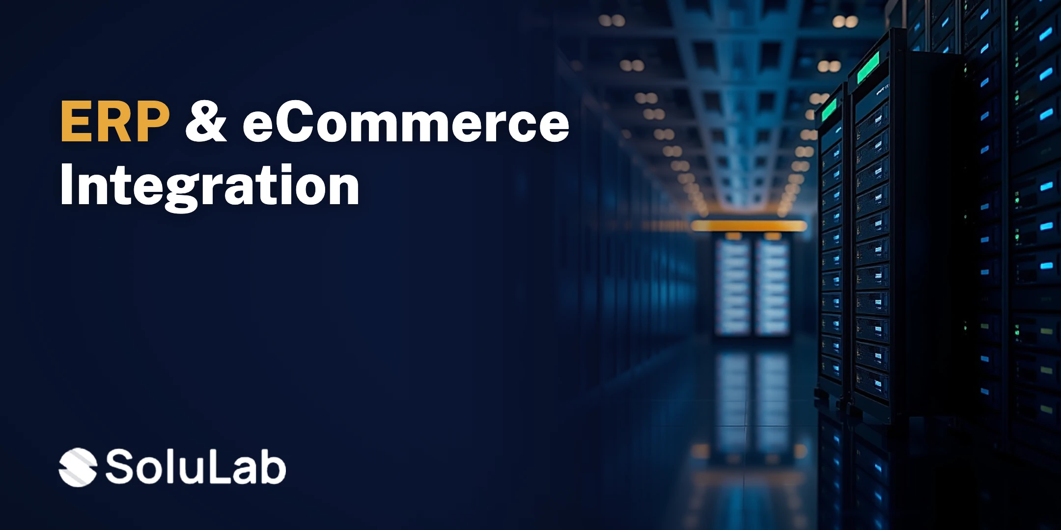 erp-ecommerce-integration